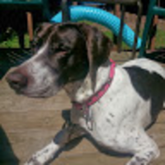 Meet your Posher, Marta - Picture 1 of 1